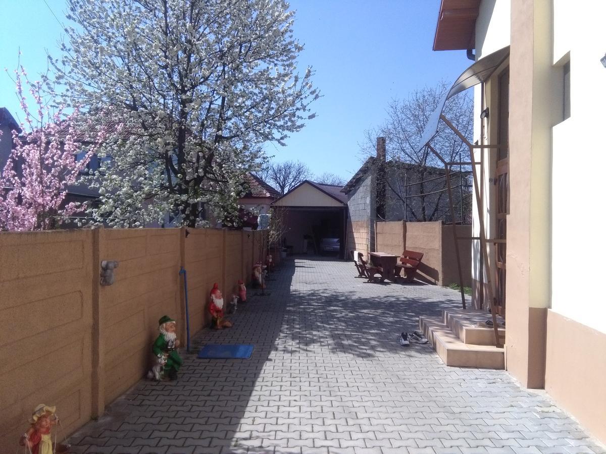 Casa Ovi Si Simo Hotel Hateg Exterior photo