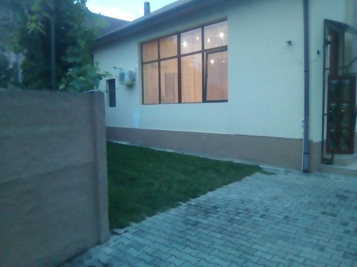 Casa Ovi Si Simo Hotel Hateg Exterior photo